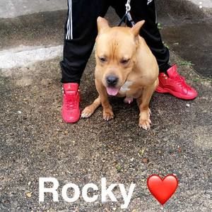 Meet your Posher, Stanley